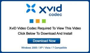 XviD: Qué es y cómo instalar el codec